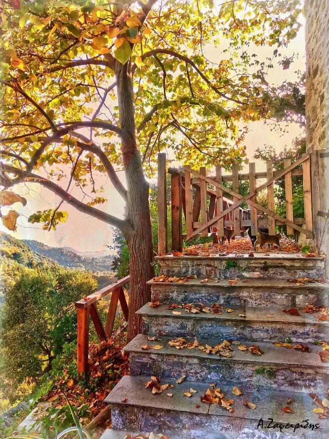 Archondiko Zafeiridi Villa Makrinitsa Bagian luar foto
