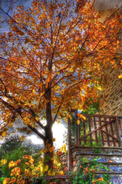 Archondiko Zafeiridi Villa Makrinitsa Bagian luar foto